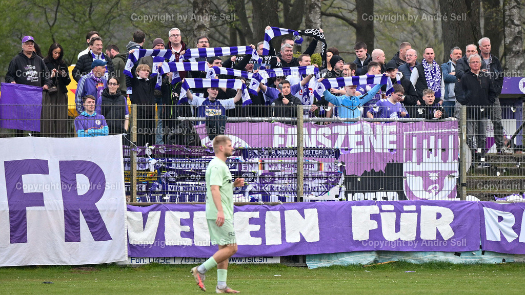 VfR Neumünster (lila) vs PSV Neumünster (grün) | VfR-Fanblock / Fußball-Oberliga Männer 2025/2026 / VfR Neumünster (lila) vs PSV Neumünster (grün) / Grümmi-Arena / Neumünster / 15.04.26 - Realisiert mit Pictrs.com