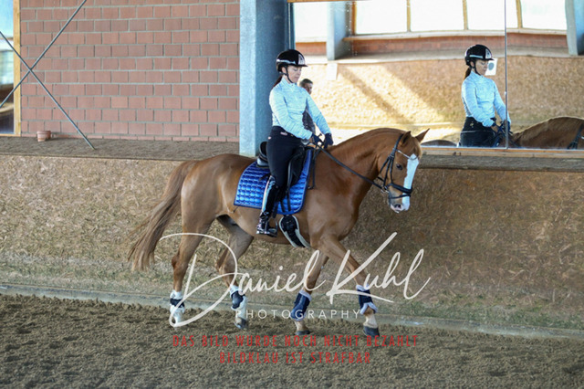 DKP42203 | Turniersportfotografie; Pferdefotografie; Dressurfotografie