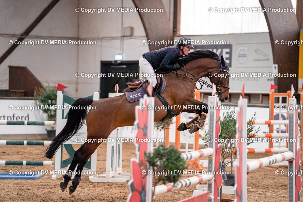 Kranichstein II Tag 1-771 | dv-media-shop - Realisiert mit Pictrs.com