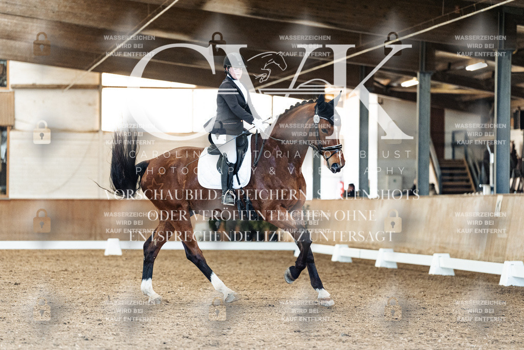 CK909190 | Turnierfotografie Pferdefotografie Trier Rheinland-Pfalz Pferdesport Reitsport Tierfotografie Sportfotografie Pferdevideo Pferdevideografie Equestrianvideography equestrianphotography  - Realized with Pictrs.com