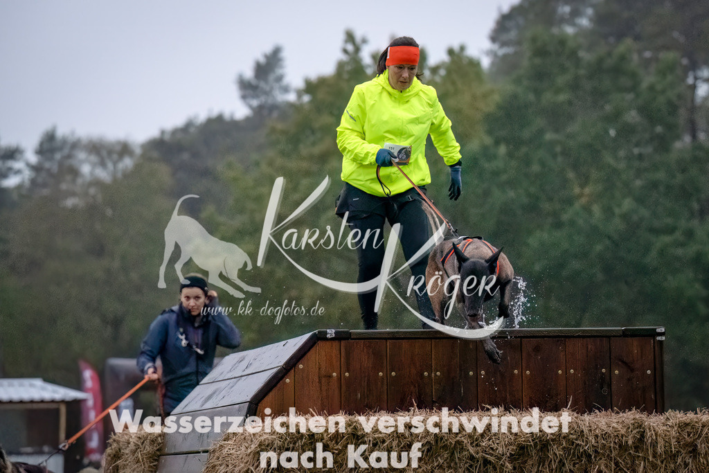 0809-_ZZ90478-Bearbeitet-Bearbeitet | kk-dogfotos