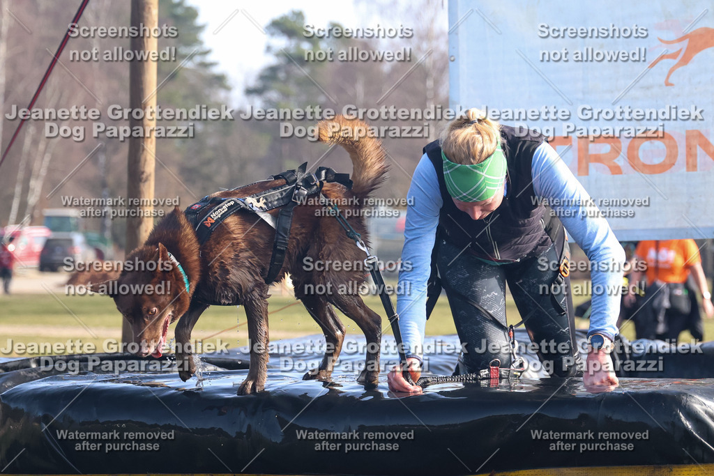 Dog Paparazzi - Strongdog North Mrz26-1017 | Dog Paparazzi Jeanette Grottendiek Fotografie & Videografie - Realisiert mit Pictrs.com