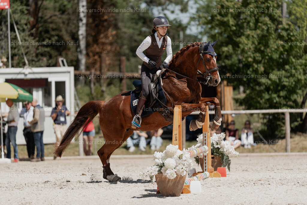 WE_SP_Stoib_342_PI2025_1815 | Pferd International München 2025