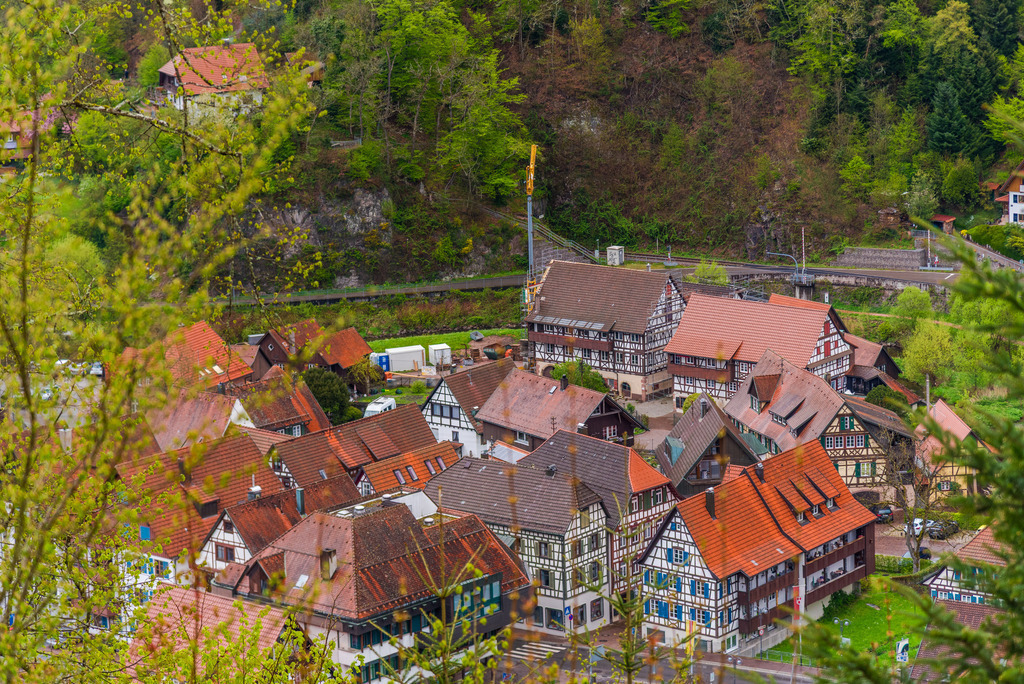 schiltach_210425-25 | <div id="allefotografen-seal-verified-green"></div><script src="https://www.allefotografen.de/956728/seal-verified-green/seal.js" async="async"></script> - Realisiert mit Pictrs.com