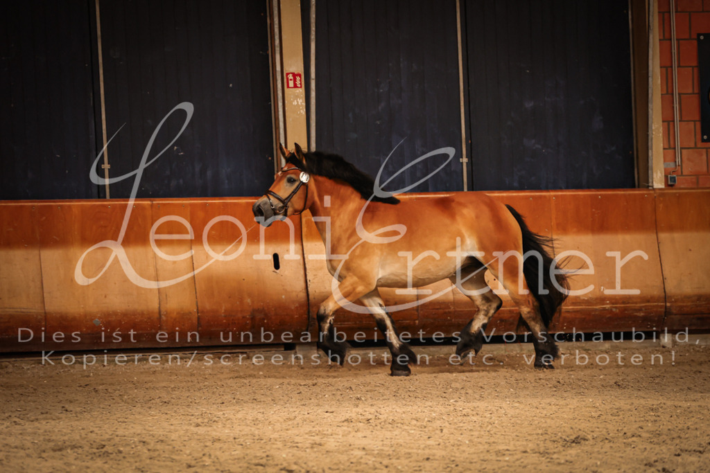 SaFL00202 | Leoni Ertmer Photography - Realisiert mit Pictrs.com