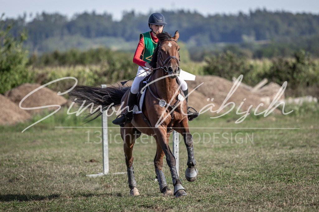 20250907-_3LI4113 | Tierfotografie Pferde, Hunde, Katzen, Haustiere.
Turnierfotografie Reitturniere, Reiten, Springreiten, Dressur in Hanau, dem Main-Kinzig-Kreis und dem Rhein-Main- Gebiet um Frankfurt