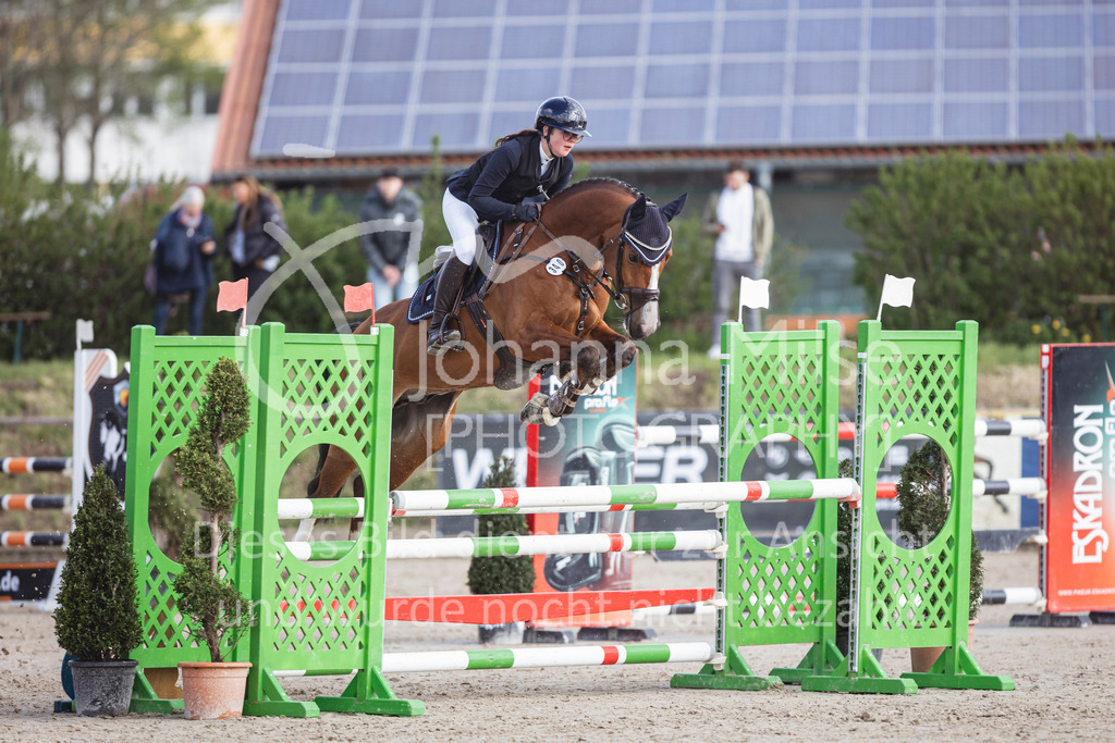 250419_Frühlingsfest_Springpf-L-335 | Deine schönsten Turniermomente als professionelle Fotos! Entdecke hochwertige Pferdesport-Fotografie im Online-Shop. Jetzt Fotos finden & bestellen!