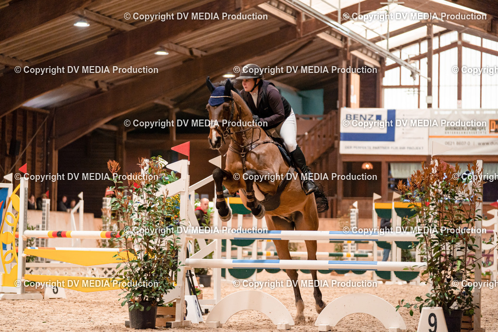 Springen Tag 3-075 | dv-media-shop - Realisiert mit Pictrs.com