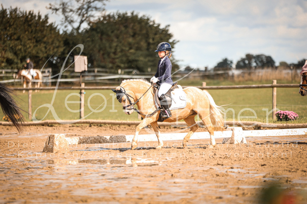 02.SoDrWB00169 | Leoni Ertmer Photography - Realisiert mit Pictrs.com