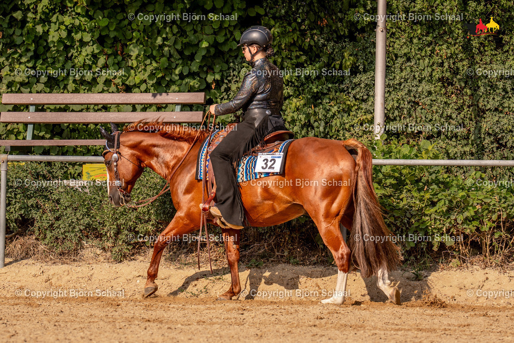 LMS07421 | BS-foto