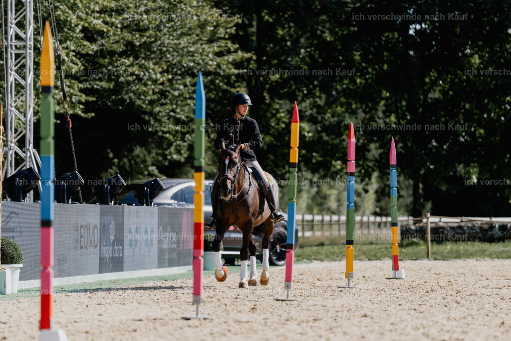 Virginie12FHC2025-09169 | working equitationturnier fotograf videograf stoibphotography marixx film working equitation deutschland reitsport turnierfotografie eventfotografie equestrian events