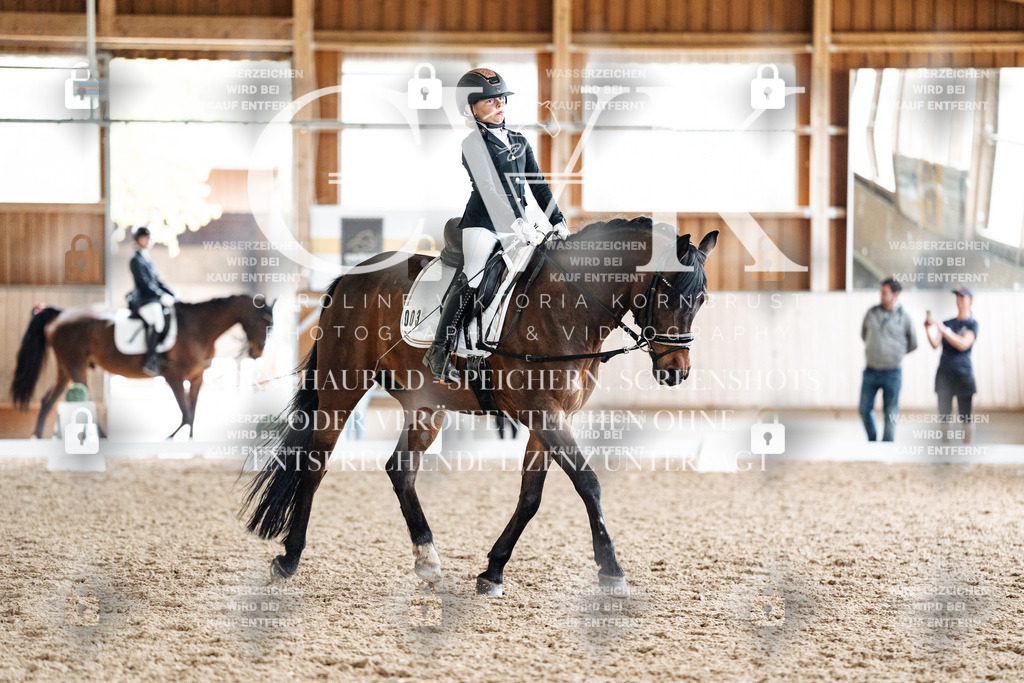 CK901617 | Turnierfotografie Pferdefotografie Trier Rheinland-Pfalz Pferdesport Reitsport Tierfotografie Sportfotografie Pferdevideo Pferdevideografie Equestrianvideography equestrianphotography  - Realisiert mit Pictrs.com