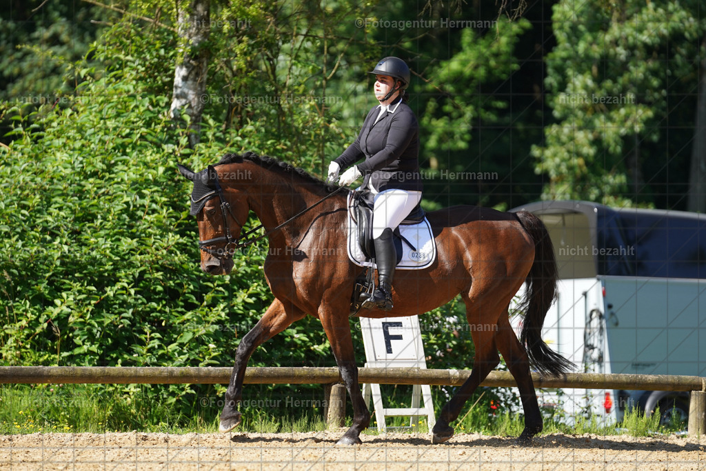 20240706-FAH04608 | Grafing Turnierfotos, Reitverein Ebersberg, Turnierfotografen Bayern, reitsportbilder, Pferdefotograf, reitsportfotograf, Sportbilder, Reitsportfotografie, Fotoagentur Herrmann, Turnierfotograf