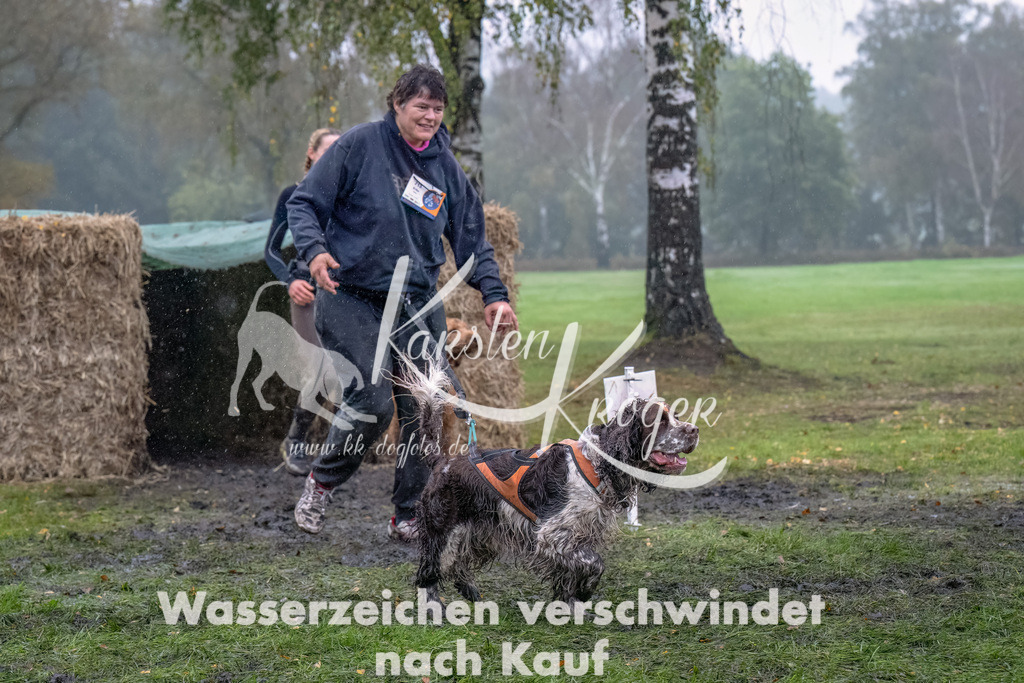 1256--4 | kk-dogfotos