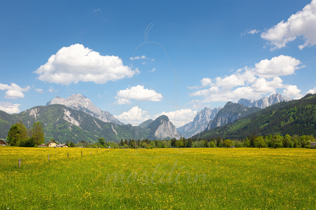 Frühling im Xeis | Das Gesäuse, eine wundervolle Gegend zum Bergsteigen und Wandern. "Des Xeis" bewundere ich jedesmal, wenn ich zwischen Salzburg und Niederösterreich regelmäßig hin und her pendle. - Realisiert mit Pictrs.com
