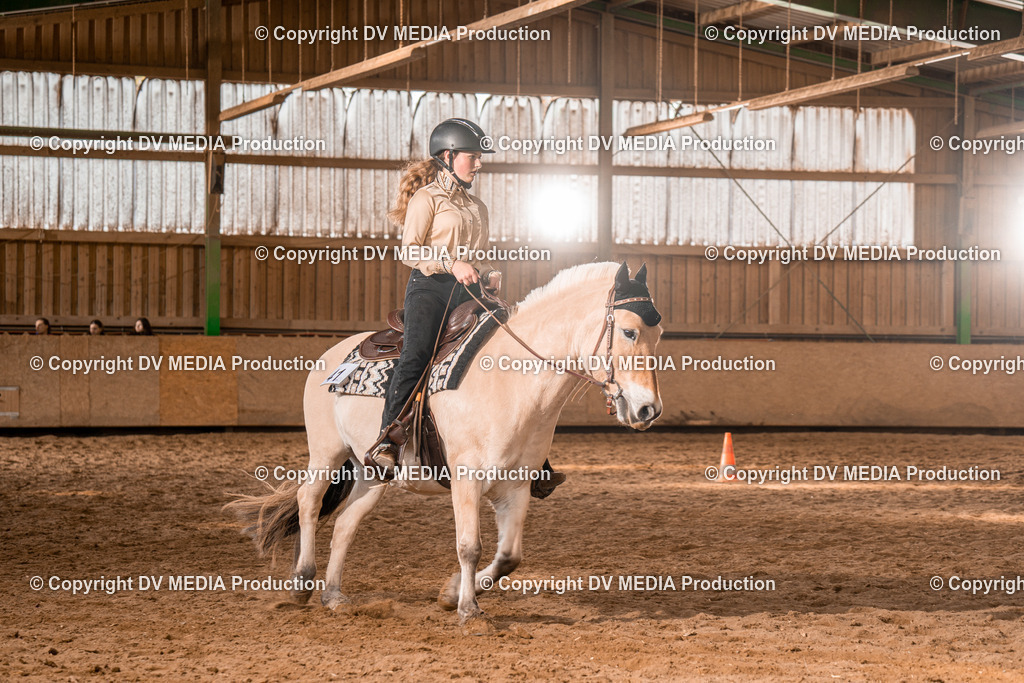 BAL02194 | dv-media-shop - Realisiert mit Pictrs.com