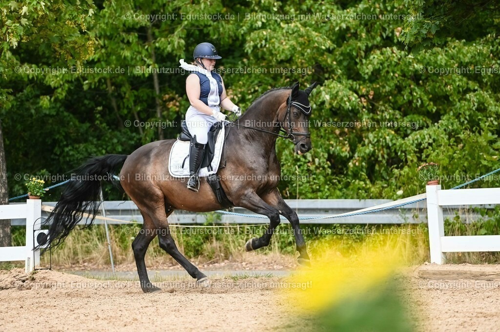 20230715_02_Dressurreiterprüfung Kl.L_0382 | equistock