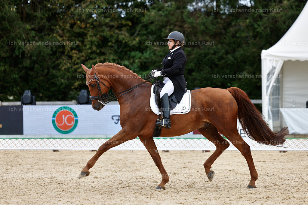 11-023-Dressur S___-StoibPH-1134 | working equitationturnier fotograf videograf stoibphotography marixx film working equitation deutschland reitsport turnierfotografie eventfotografie equestrian events