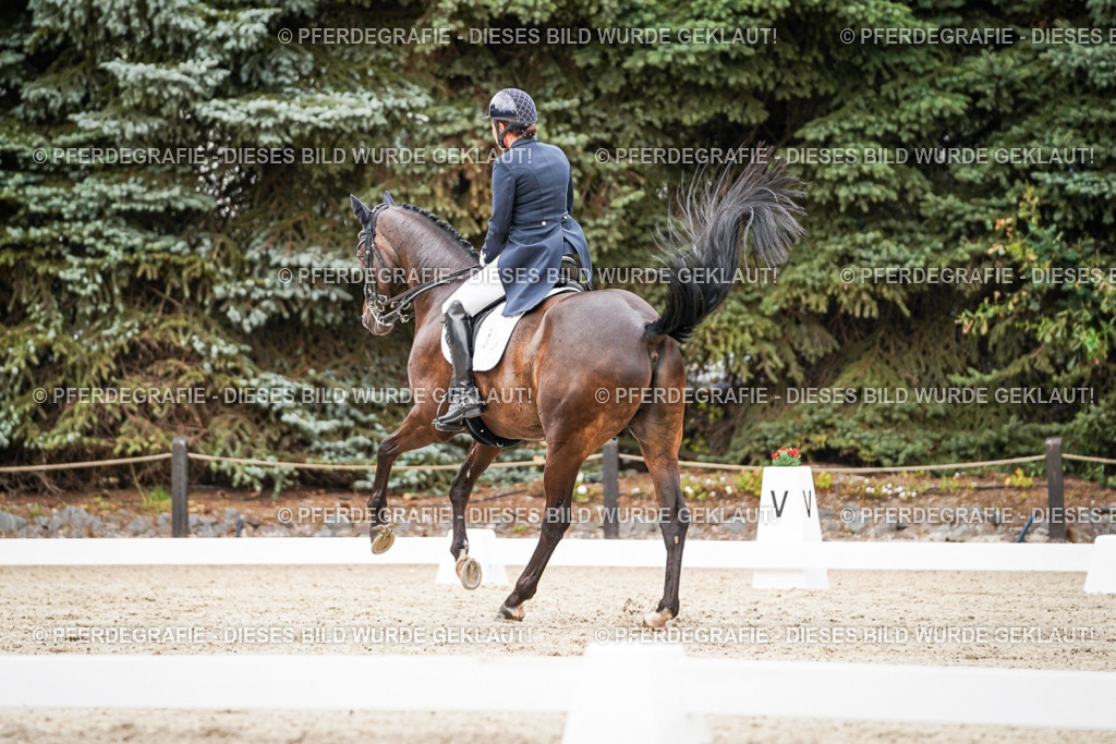 DSC07462 | Pferdegrafie