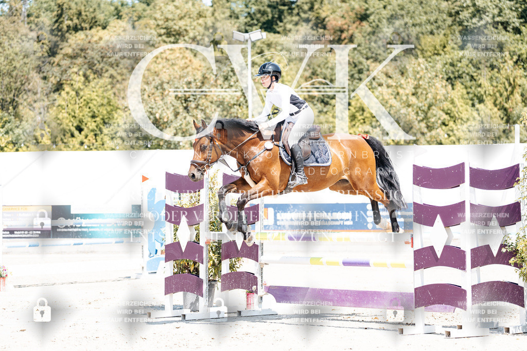 CK900257 | Turnierfotografie Pferdefotografie Trier Rheinland-Pfalz Pferdesport Reitsport Tierfotografie Sportfotografie Pferdevideo Pferdevideografie Equestrianvideography equestrianphotography  - Realisiert mit Pictrs.com