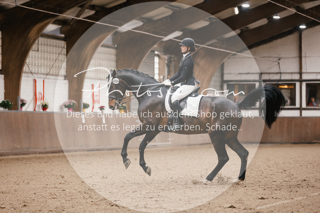 3I6A8402 | Stimmungsvolle Portraits und Reitsportfotografie im Ruhrgebiet und im Münsterland.

Pferdefotografie, Hundefotografie, Tierfotografie, Reportagen, Portraits von Tier und Mensch, Turnierfotografie in Bochum, Recklinghausen, Marl, Haltern am See, Dülmen.. - Realisiert mit Pictrs.com