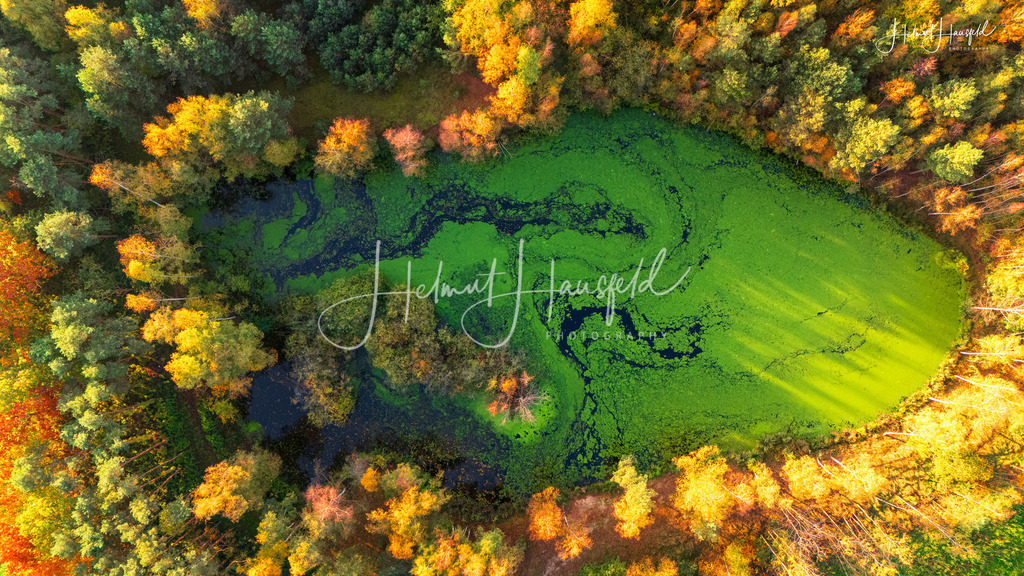 DJI_20241025164927_0045_D | default - Realisiert mit Pictrs.com