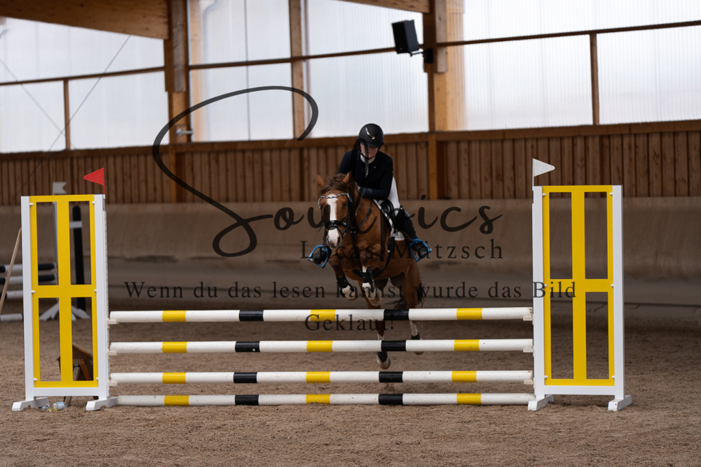 A7507528 | Pferdefotograf