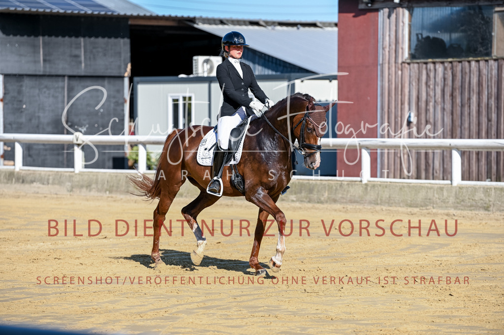 Schugtsche-Aluta25-51.Dressurpferdeprf.M-27 | Schugtsche Fotografie - Realisiert mit Pictrs.com
