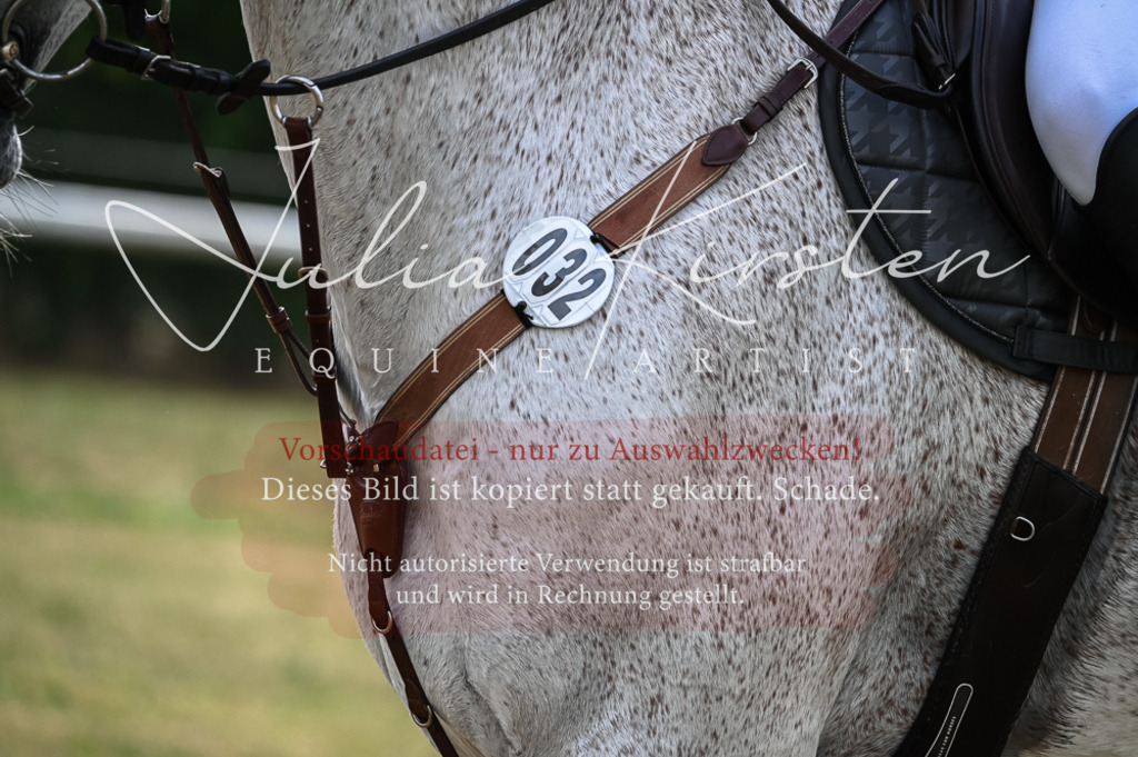 DSC_8332 | Pferde- und Turnierfotografie in Westsachsen. Pferdeportraits, Auftragszeichnungen und intuitive Kunst.