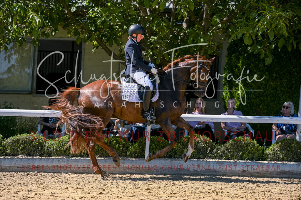 Schugtsche-Aluta25-50.Dressurpferdeprf.L-98 | Schugtsche Fotografie - Realisiert mit Pictrs.com