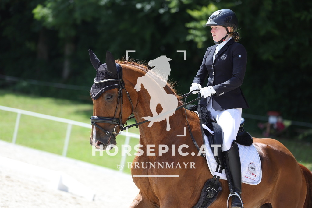0P6A1927 | Willkommen bei Brunnmayr - Design & Fotografie – Ihrem Spezialisten für Reitturniere und Pferdeveranstaltungen in Oberösterreich, Salzburg und Bayern! Seit über 17 Jahren sind wir leidenschaftlich dabei.