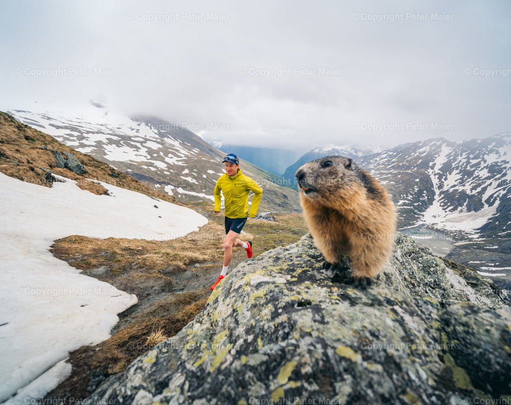 Pre_Grossglockner_Mountain_Run__Peter Maier-1042-Bearbeitet | piet_flosse
