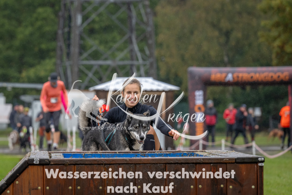 1331-93769 | kk-dogfotos