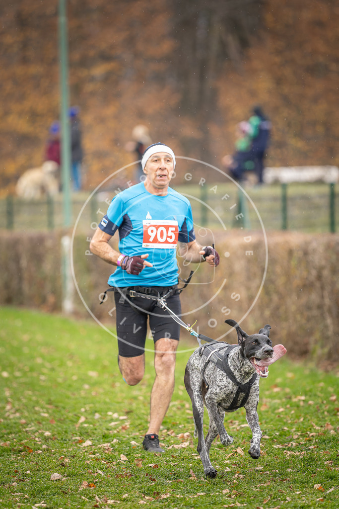 CaniXpix_DV3A7031 | Hundefotografie, Tierfotograf, Pfotenfotografie, Fotoshooting Hund, Hunde Portrait, Hundesport, Hundeportraits, Heideshooting, Hunde, Sportfotograf, Hundefotograf, Turnierhundsport, THS,  - Realisiert mit Pictrs.com