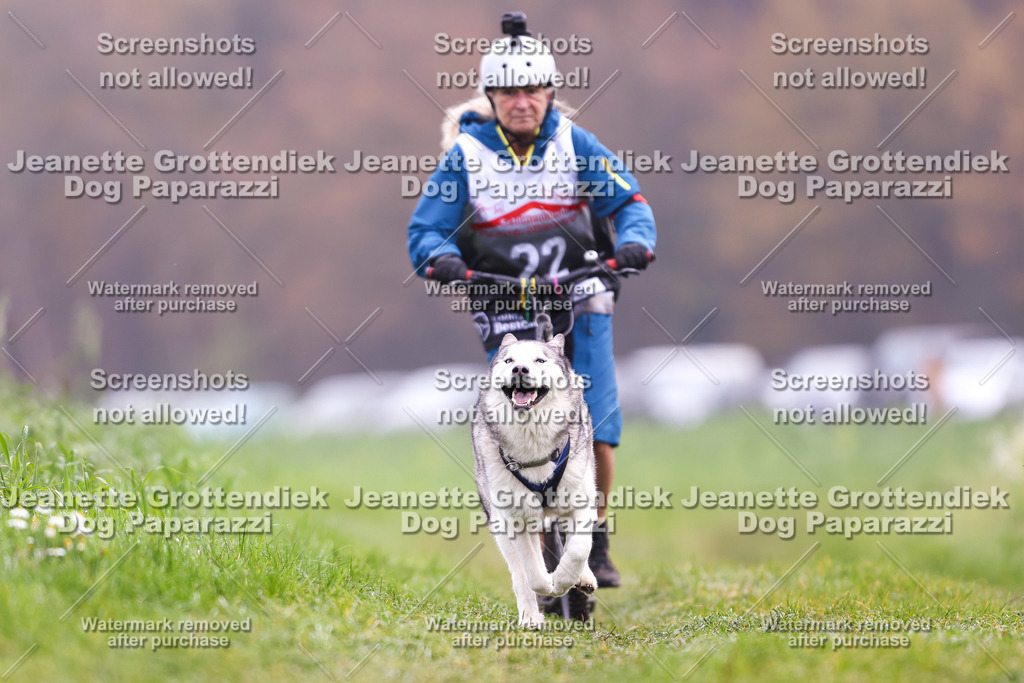 Dog Paparazzi - Visbeck 25 -319 | Dog Paparazzi Jeanette Grottendiek Fotografie & Videografie - Realisiert mit Pictrs.com