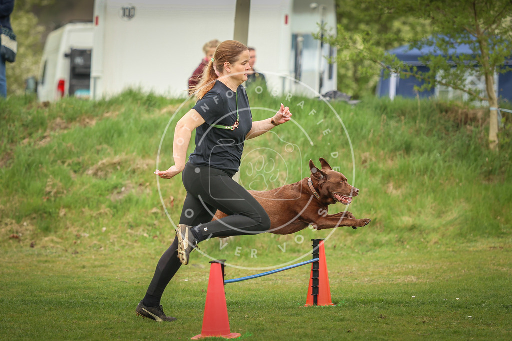 Pfotenfotografie_0L8A1108 | Hundefotografie, Tierfotograf, Pfotenfotografie, Fotoshooting Hund, Hunde Portrait, Hundesport, Hundeportraits, Heideshooting, Hunde, Sportfotograf, Hundefotograf, Turnierhundsport, THS,  - Realisiert mit Pictrs.com