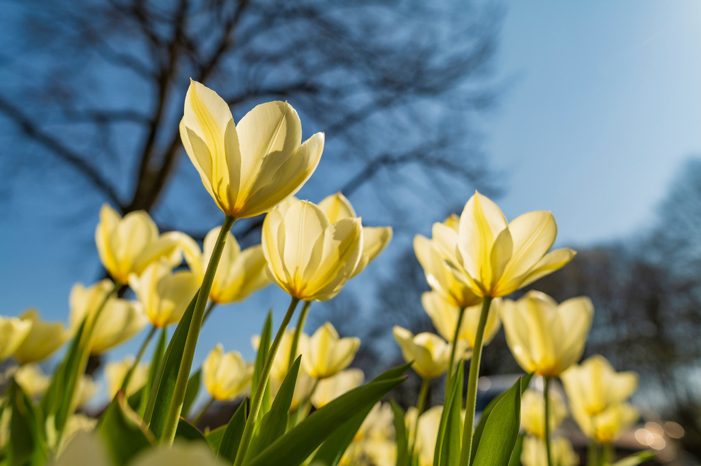 2025_04_02_HH-ALTONA+HOLZHAFEN_MCP7109 | Hochwertig gedruckte Fotografien für die Wand, als Kalender und zum Verschenken. Hamburg & Norddeutschland und überall wo ich mit der Kamera unterwegs war.