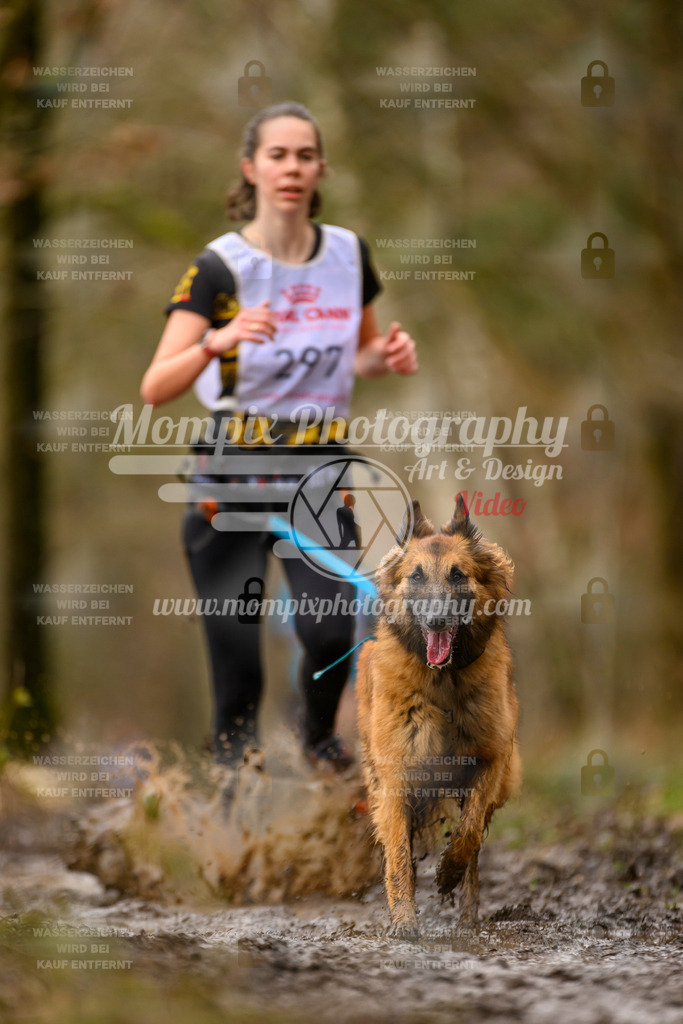 MompixPhotography_CDSM24_SA_CCS-151 | mompixphotography