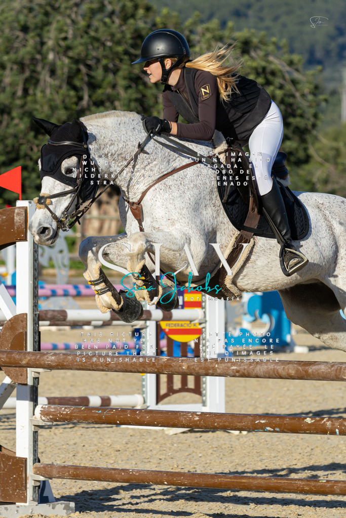 IMG_2247 | s-jay-photography - Realisiert mit Pictrs.com