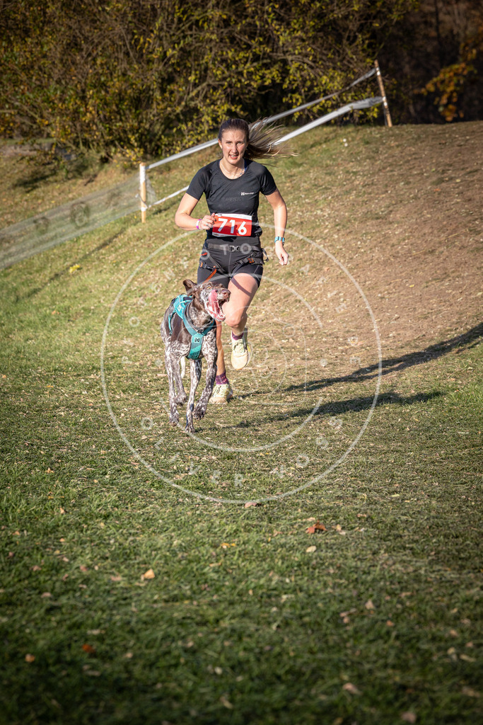 CaniXpix_0L8A9647 | Hundefotografie, Tierfotograf, Pfotenfotografie, Fotoshooting Hund, Hunde Portrait, Hundesport, Hundeportraits, Heideshooting, Hunde, Sportfotograf, Hundefotograf, Turnierhundsport, THS,  - Realisiert mit Pictrs.com