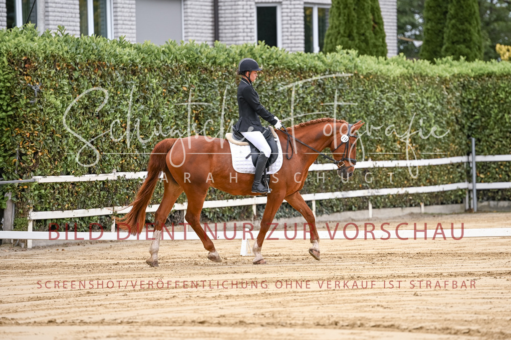 Schugtsche-Aluta25-42.EDressur -12 | Schugtsche Fotografie - Realisiert mit Pictrs.com