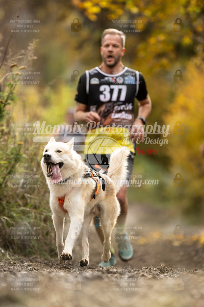 MompixPhotography_ICF_WC_2024_SA_Run_-327 | PayLife