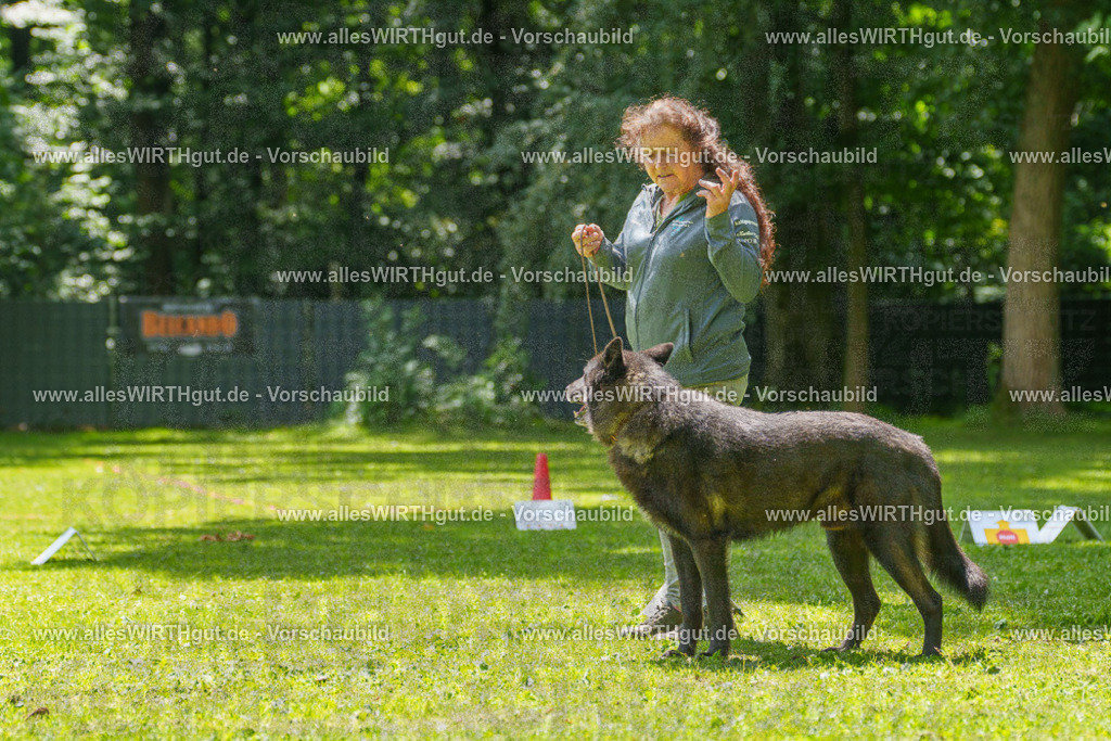@allesWIRTHgut_Tierfotografie - www.allesWIRTHgut.de - 7R504652 | Professionelle Tierfotografie in Mönchengladbach von Daniel Wirth (allesWIRTHgut). Liebevolle & natürliche Bilder von Hunden & Katzen für unvergessliche Erinnerungen.