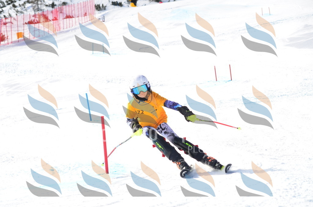 C7916 | holidayphoto