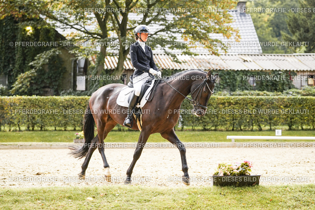 DSC00882 | Pferdegrafie