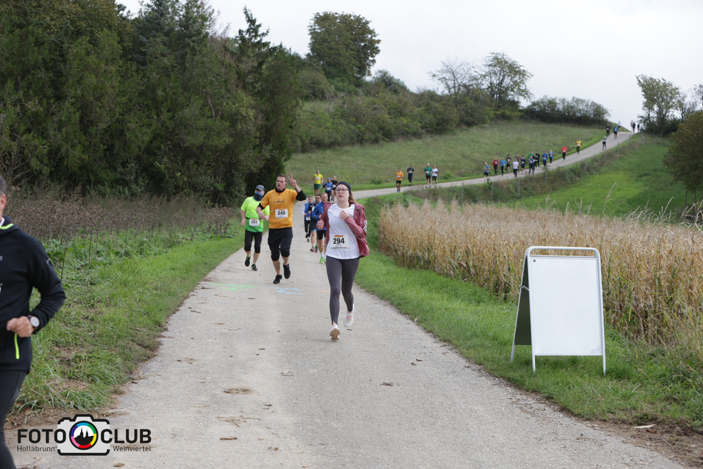 B (35) | Foto Buchgraber
