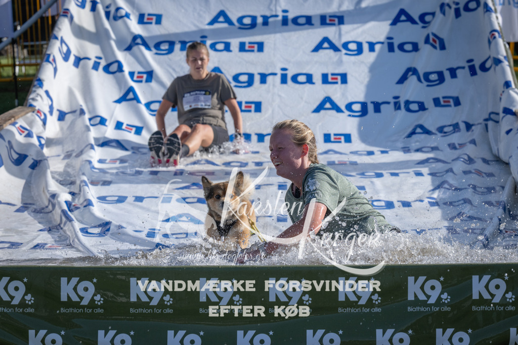 0920_ZZ95010 | kk-dogfotos