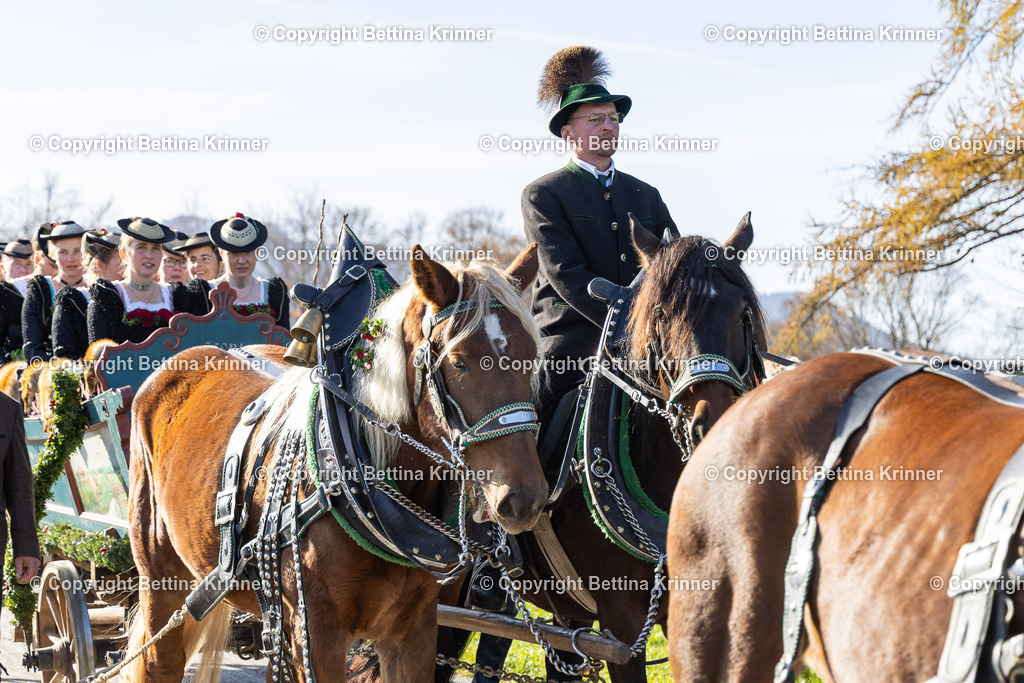 LBT24-1302 | foto-bettina-krinner - Realisiert mit Pictrs.com