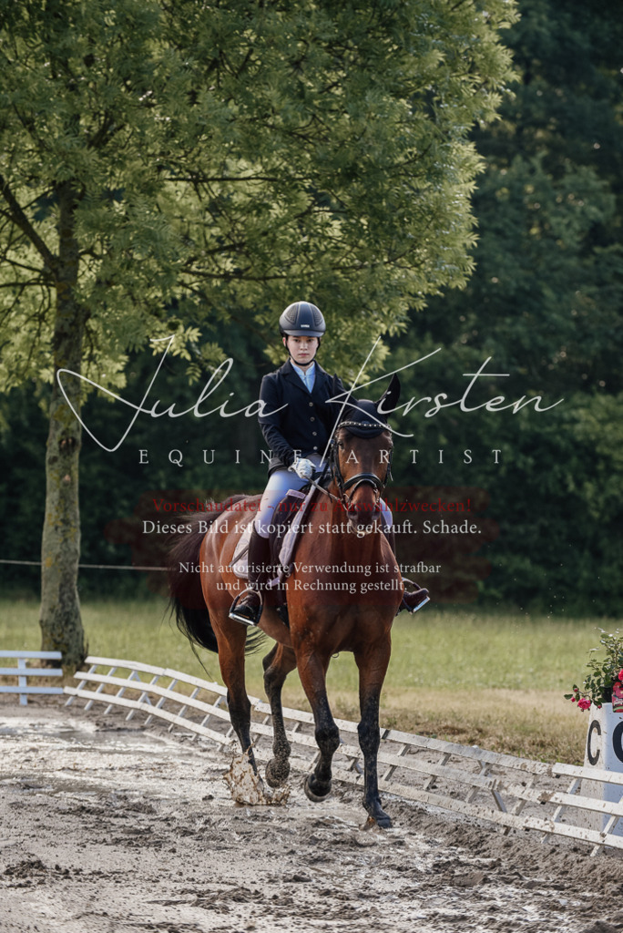 DSC_7916 | Pferde- und Turnierfotografie in Westsachsen. Pferdeportraits, Auftragszeichnungen und intuitive Kunst.