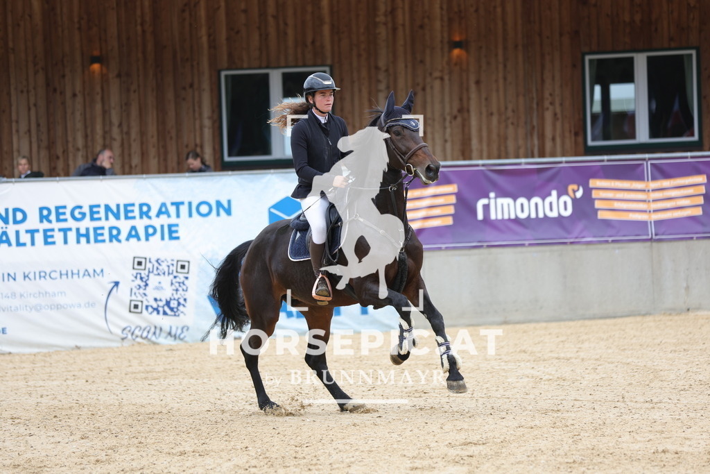 0P6A7309 | Willkommen bei Brunnmayr - Design & Fotografie – Ihrem Spezialisten für Reitturniere und Pferdeveranstaltungen in Oberösterreich, Salzburg und Bayern! Seit über 17 Jahren sind wir leidenschaftlich dabei.